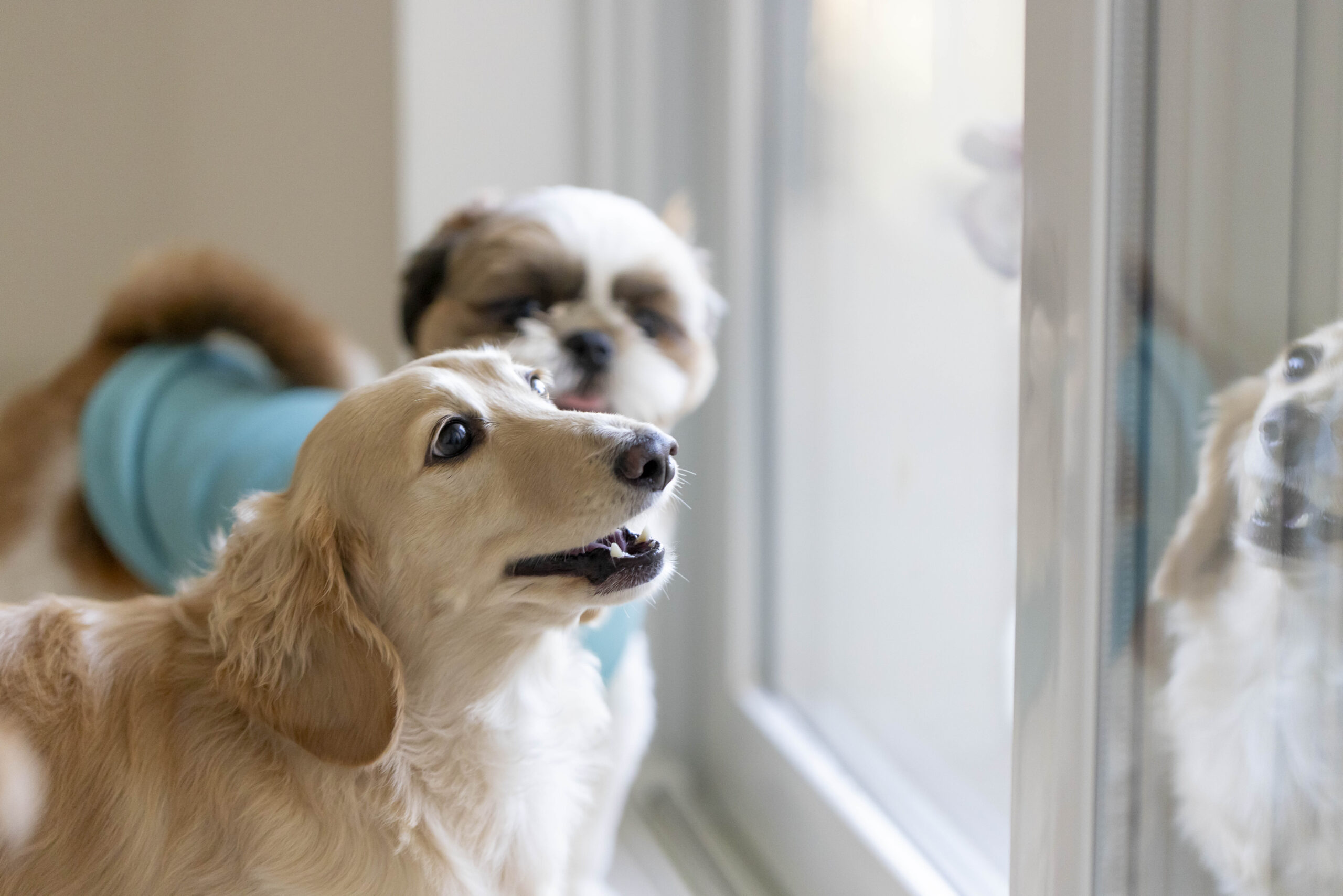 遮音性・気密性